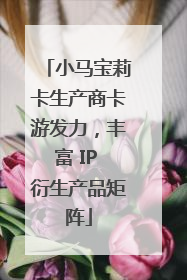 小马宝莉卡生产商卡游发力，丰富 IP 衍生产品矩阵