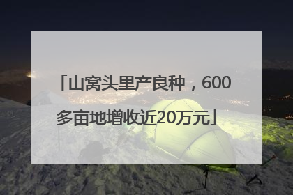 山窝头里产良种，600多亩地增收近20万元