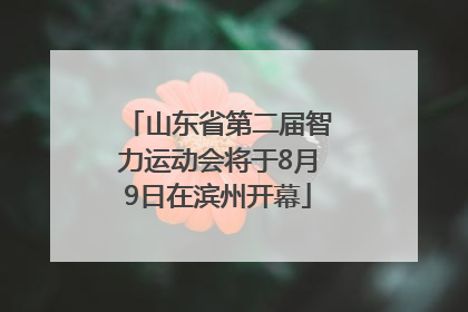 山东省第二届智力运动会将于8月9日在滨州开幕