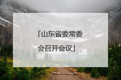 山东省委常委会召开会议