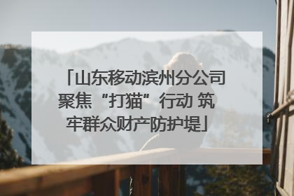 山东移动滨州分公司聚焦“打猫”行动 筑牢群众财产防护堤