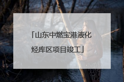 山东中燃宝港液化烃库区项目竣工