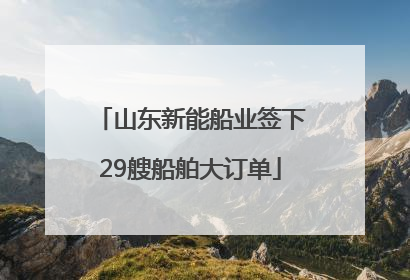 山东新能船业签下29艘船舶大订单