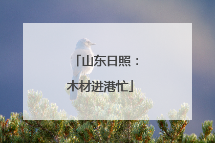 山东日照：木材进港忙