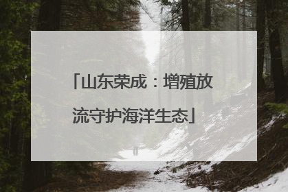 山东荣成：增殖放流守护海洋生态