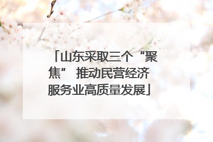 山东采取三个“聚焦” 推动民营经济服务业高质量发展