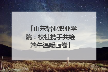 山东铝业职业学院：校社携手共绘端午温暖画卷