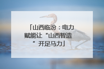 山西临汾：电力赋能让“山西智造”开足马力