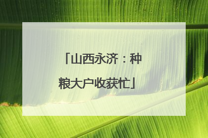 山西永济：种粮大户收获忙