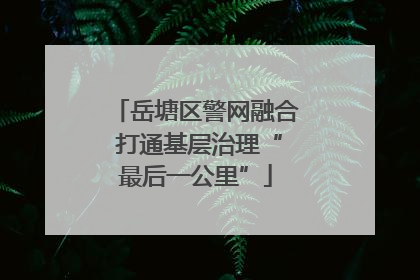 岳塘区警网融合 打通基层治理“最后一公里”