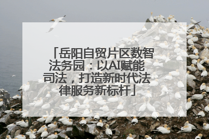 岳阳自贸片区数智法务园：以AI赋能司法，打造新时代法律服务新标杆