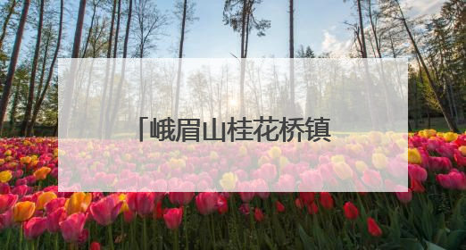 峨眉山桂花桥镇小：劳动赋能成长，实践点亮校园
