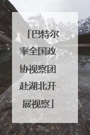 巴特尔率全国政协视察团赴湖北开展视察