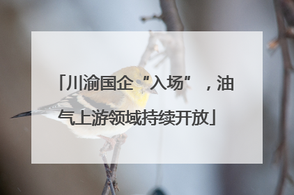 川渝国企“入场”，油气上游领域持续开放