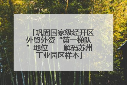 巩固国家级经开区外贸外资“第一梯队”地位——解码苏州工业园区样本