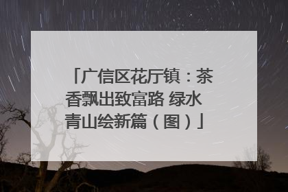广信区花厅镇：茶香飘出致富路 绿水青山绘新篇（图）