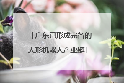 广东已形成完备的人形机器人产业链
