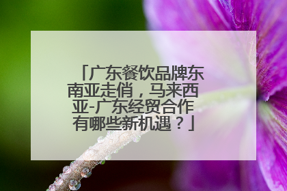 广东餐饮品牌东南亚走俏，马来西亚-广东经贸合作有哪些新机遇？