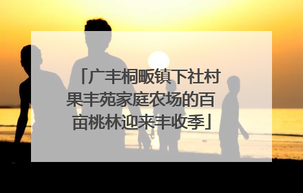 广丰桐畈镇下社村果丰苑家庭农场的百亩桃林迎来丰收季