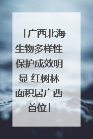 广西北海生物多样性保护成效明显 红树林面积居广西首位