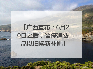 广西宣布：6月20日之后，暂停消费品以旧换新补贴