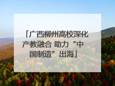 广西柳州高校深化产教融合 助力“中国制造”出海