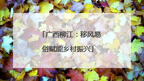 广西柳江：移风易俗赋能乡村振兴