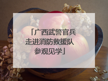 广西武警官兵走进消防救援队参观见学