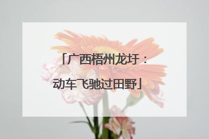 广西梧州龙圩：动车飞驰过田野