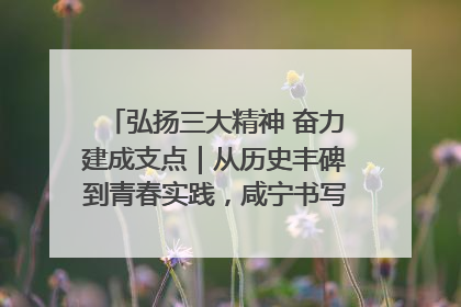 弘扬三大精神 奋力建成支点｜从历史丰碑到青春实践，咸宁书写精神传承新篇章