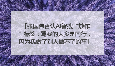 张国伟否认AI智搜“炒作”标签：骂我的大多是同行，因为我做了别人做不了的事