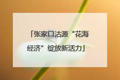 张家口沽源“花海经济”绽放新活力