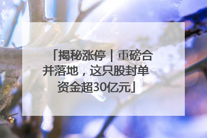 揭秘涨停｜重磅合并落地，这只股封单资金超30亿元