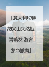 意大利埃特纳火山突然短暂喷发 游客紧急撤离