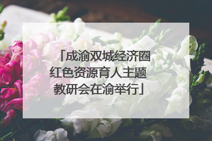 成渝双城经济圈红色资源育人主题教研会在渝举行