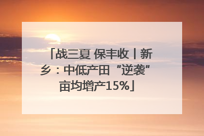 战三夏 保丰收丨新乡：中低产田“逆袭” 亩均增产15%