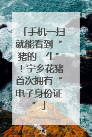 手机一扫就能看到“猪的一生”！宁乡花猪首次拥有“电子身份证”