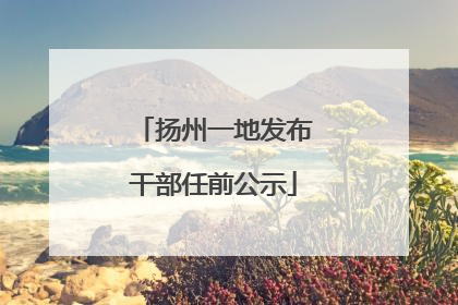 扬州一地发布干部任前公示