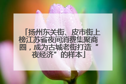 扬州东关街、皮市街上榜江苏省夜间消费集聚商圈，成为古城老街打造“夜经济”的样本