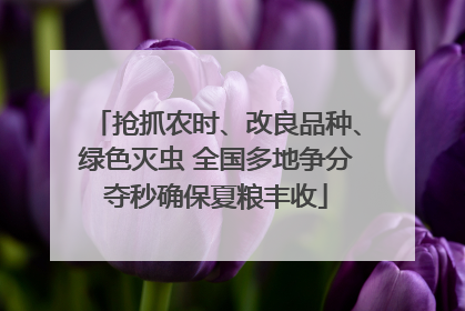 抢抓农时、改良品种、绿色灭虫 全国多地争分夺秒确保夏粮丰收