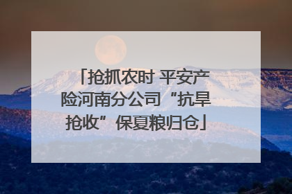 抢抓农时 平安产险河南分公司“抗旱抢收”保夏粮归仓
