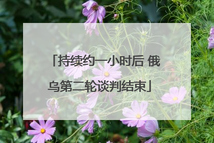 持续约一小时后 俄乌第二轮谈判结束