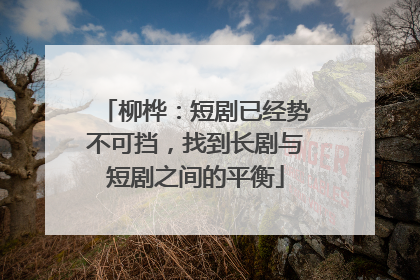 柳桦：短剧已经势不可挡，找到长剧与短剧之间的平衡