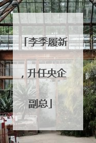 李季履新，升任央企副总