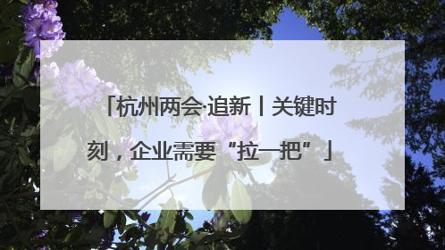 杭州两会·追新丨关键时刻，企业需要“拉一把”