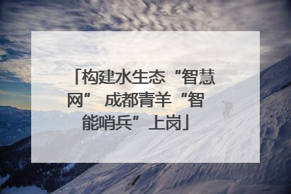 构建水生态“智慧网” 成都青羊“智能哨兵”上岗