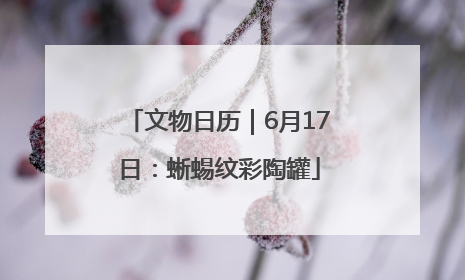 文物日历｜6月17日：蜥蜴纹彩陶罐
