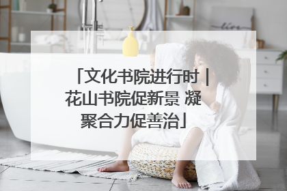 文化书院进行时｜花山书院促新景 凝聚合力促善治