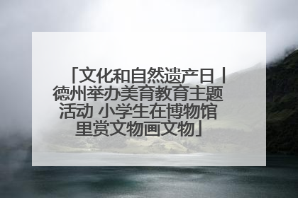 文化和自然遗产日丨德州举办美育教育主题活动 小学生在博物馆里赏文物画文物