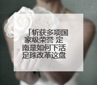 斩获多项国家级荣誉 定南是如何下活足球改革这盘棋的？